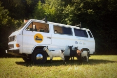 12231296_1260843183942036_1055481848_n